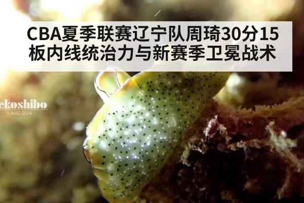CBA夏季联赛辽宁队周琦30分15板内线统治力与新赛季卫冕战术